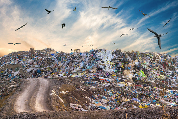 landfill with birds flying 