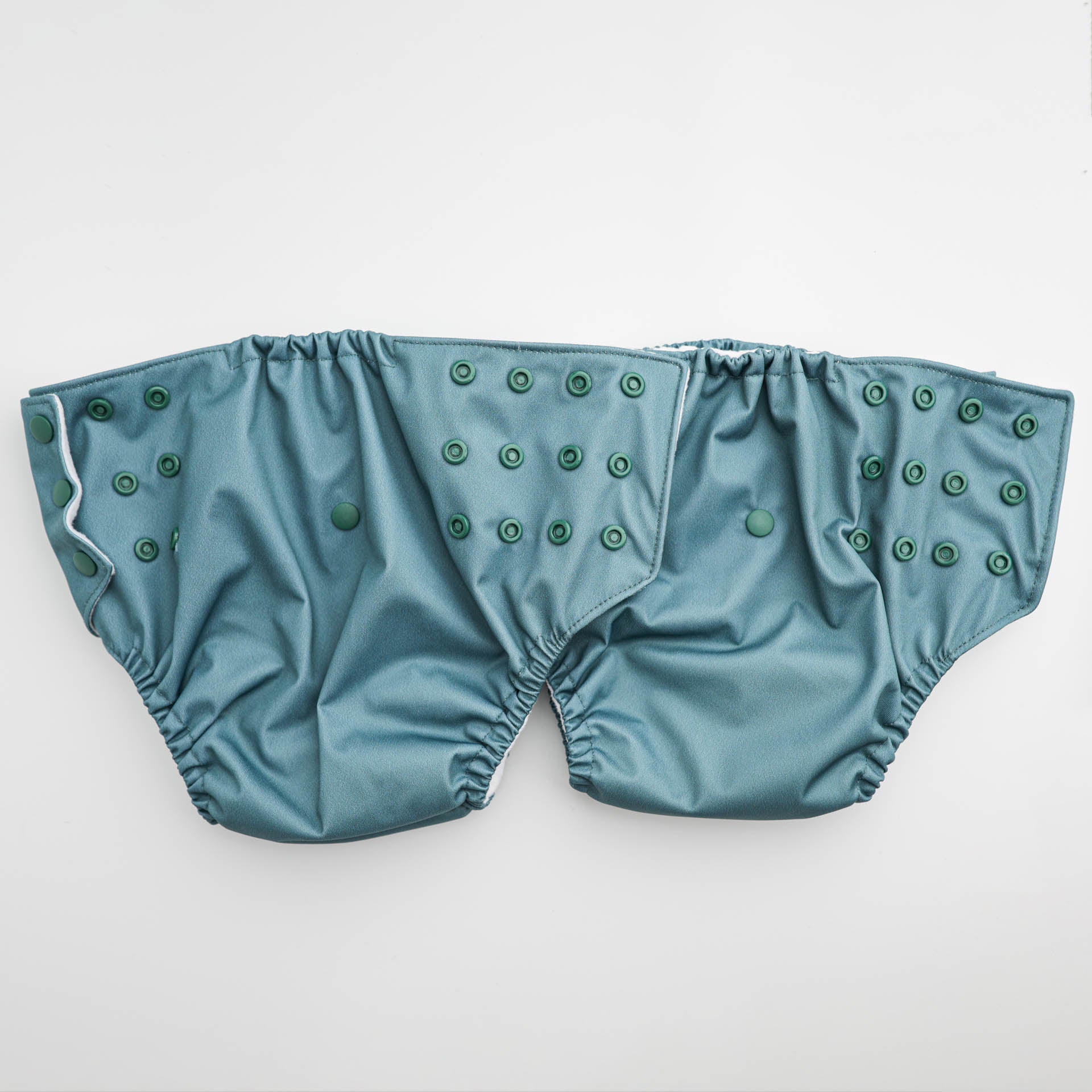 Reusable Potty Training Pant with Absorbent Inner Layers