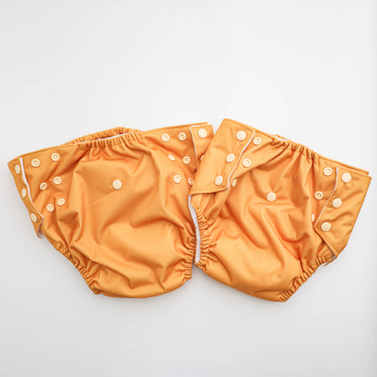 Reusable Potty Training Pant with Absorbent Inner Layers