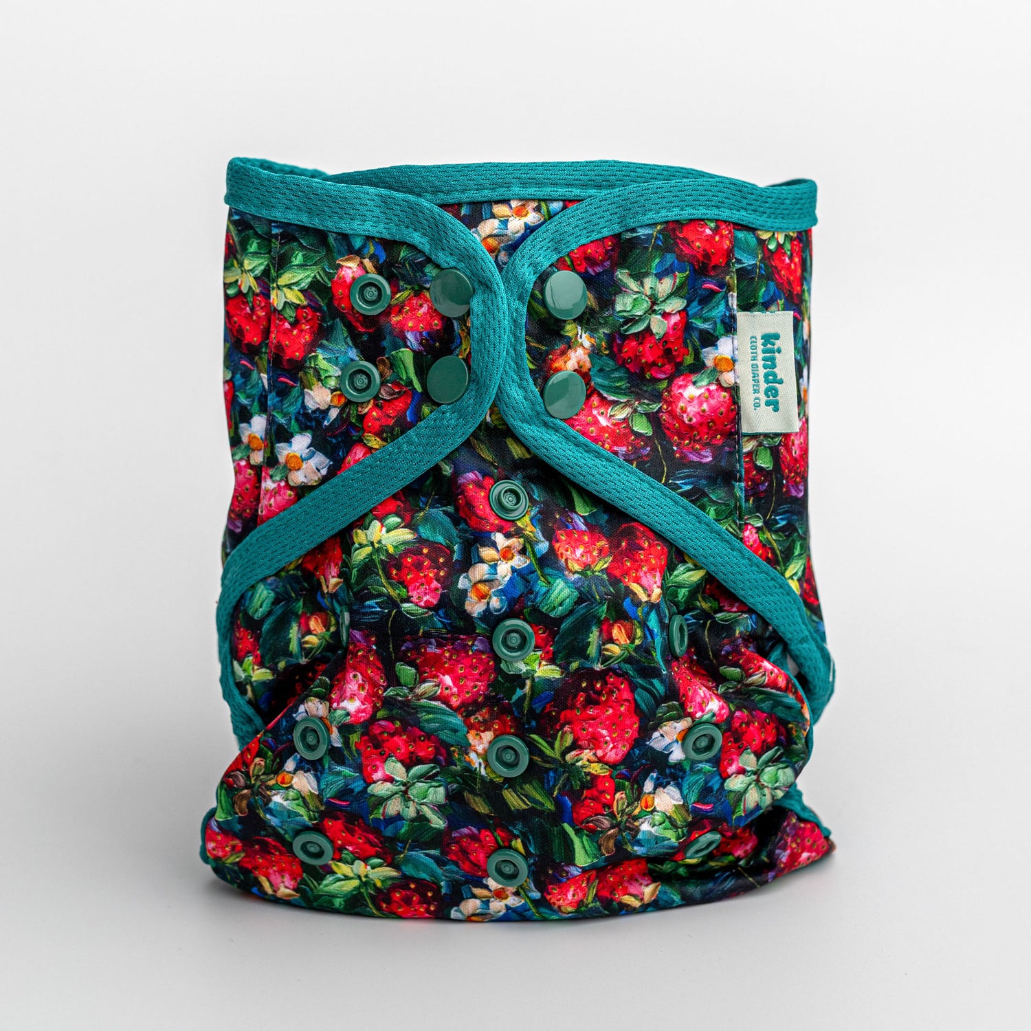 Animals and Insects: Wipeable Cloth Diaper Cover, Grows with your Baby