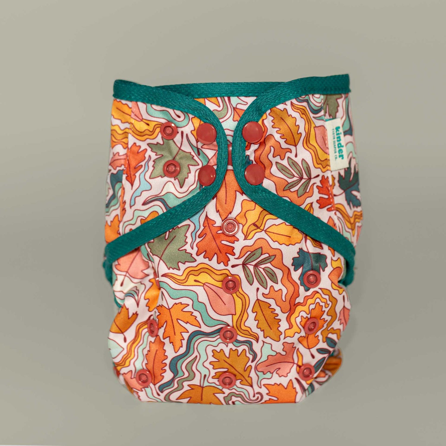 Animals and Insects: Wipeable Cloth Diaper Cover, Grows with your Baby