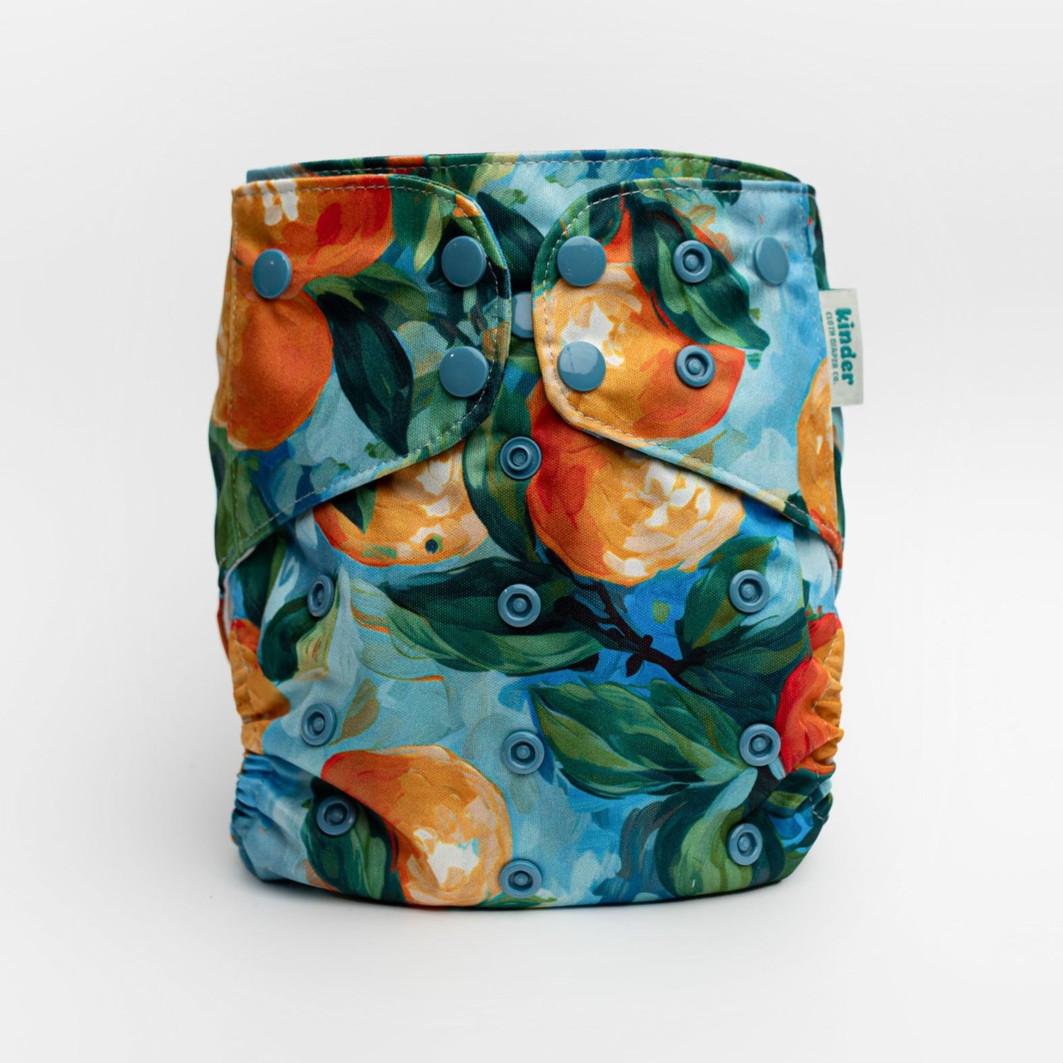 oranges painted art modern cloth diaper with awj jersey mesh reusable diapers