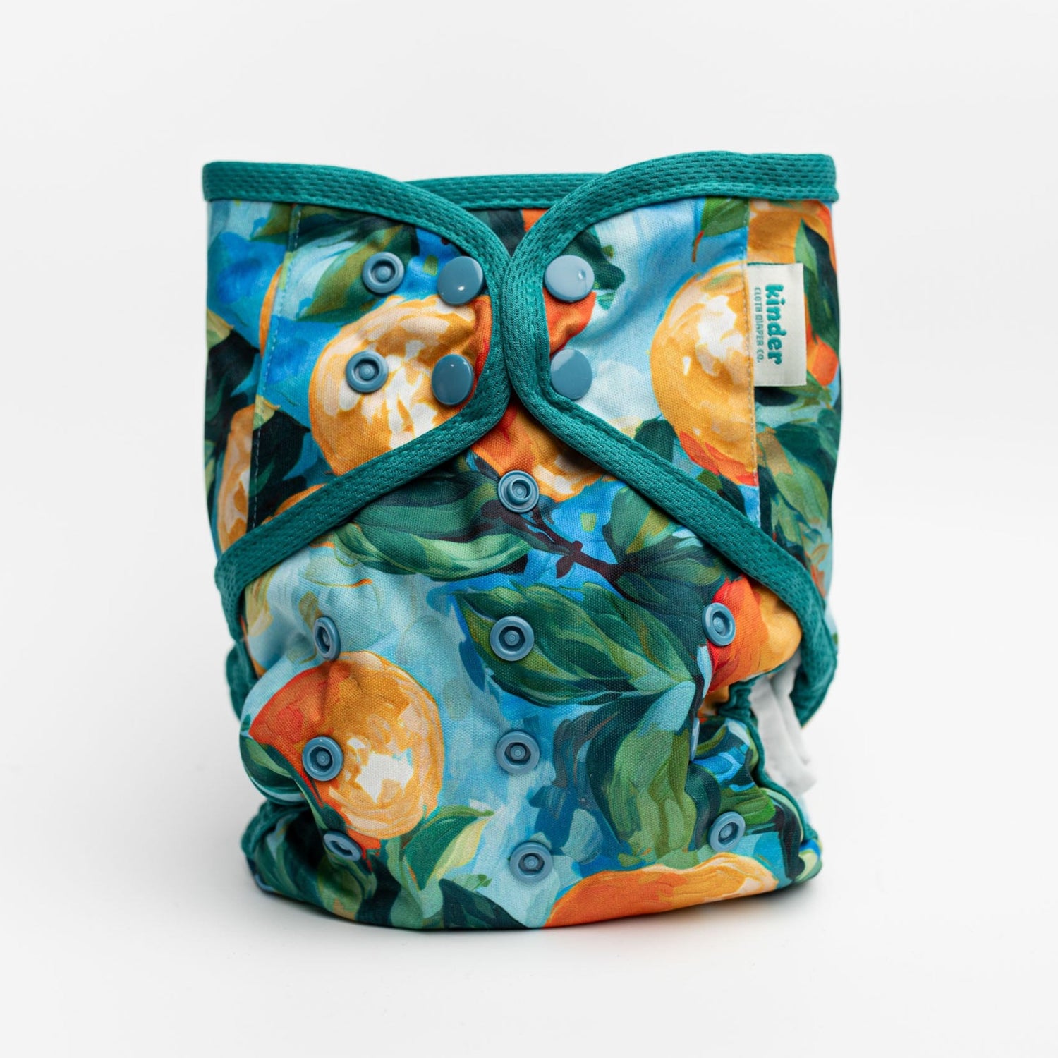 Animals and Insects: Wipeable Cloth Diaper Cover, Grows with your Baby