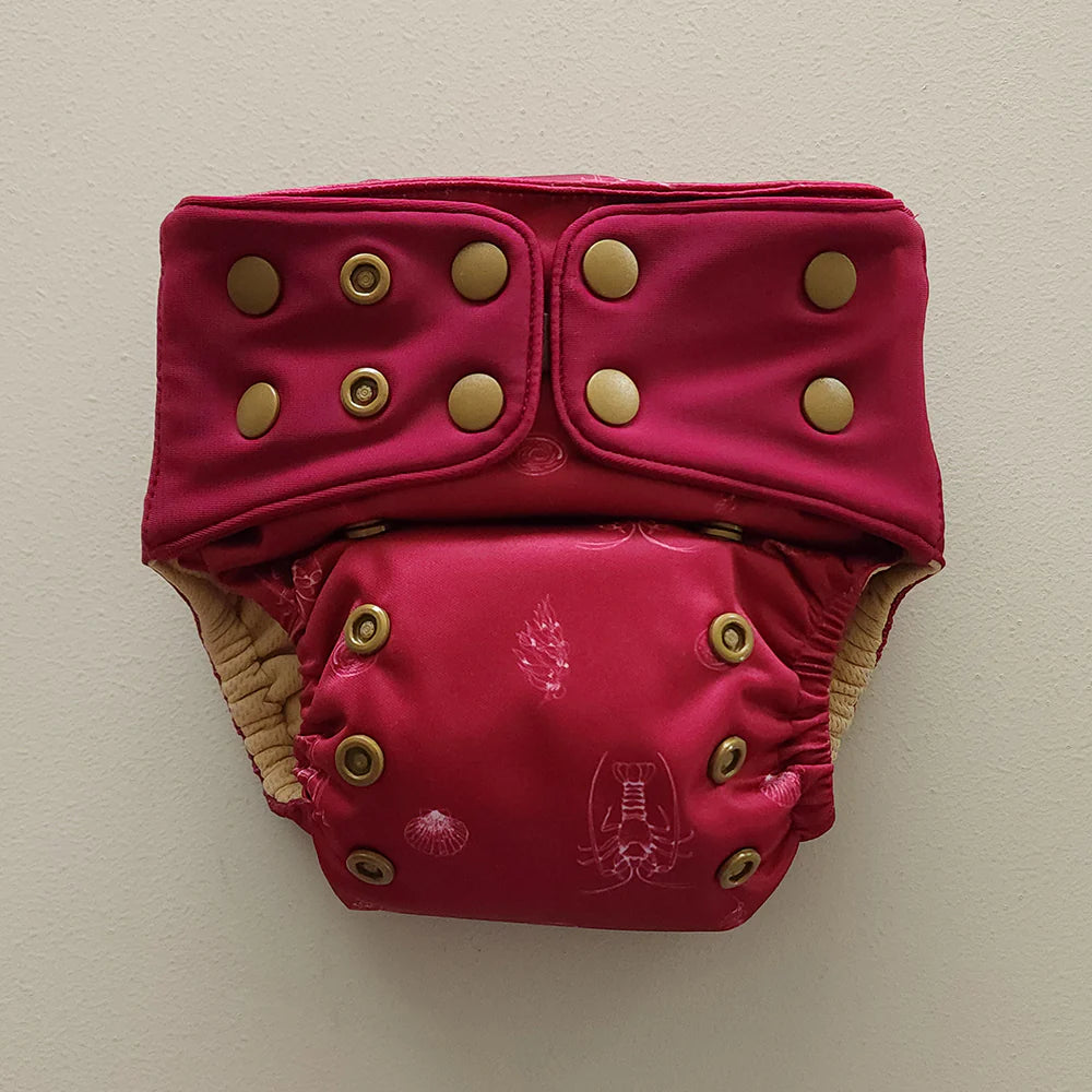 Kekoa: Premium Hybrid One Size Nappy 6-42 pounds