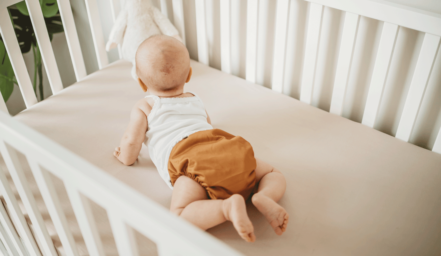 reusable modern diapers with athletic wicking jersey boho solids save clearance deals pocket style cloth diapers kinder