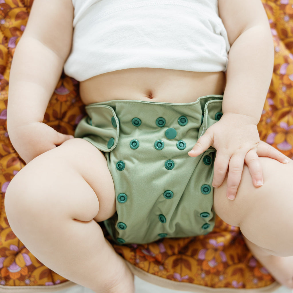 Fern - Essentials Cloud Cotton Pocket Diaper - 100% Cotton Lining - One Size