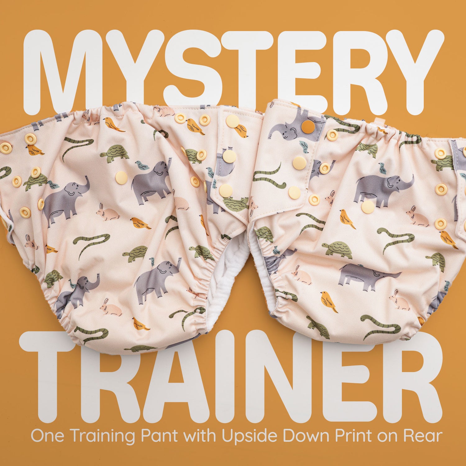 Mystery Bundles