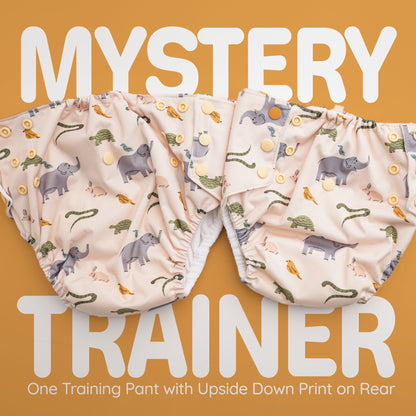 Mystery Bundles