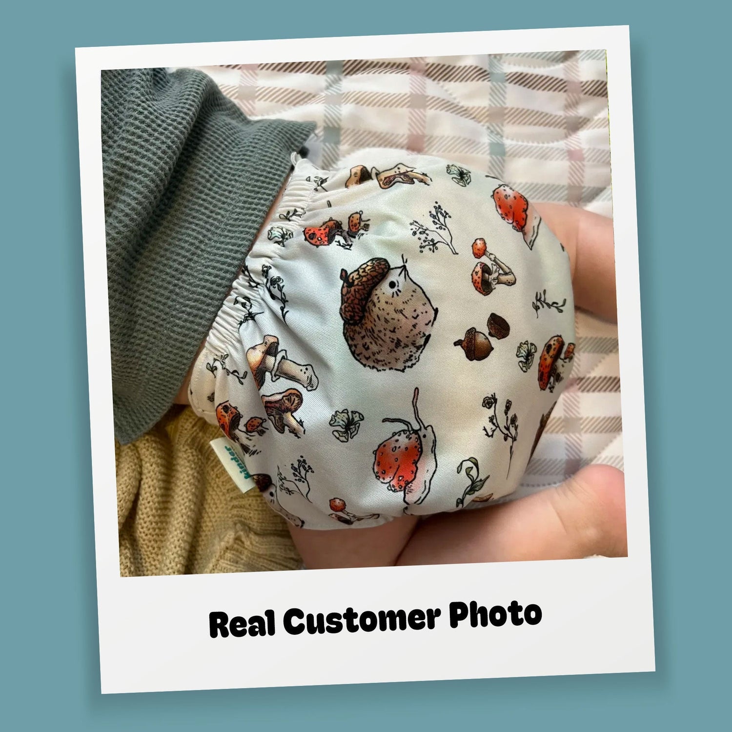 Animals and Insects: Essentials Pocket Cloth Diaper with Athletic Wicking Jersey, Grows with your Baby - Kinder Cloth Diaper Co. - 26 - 03 - 02 - modern reusable cloth diapers and more for birth to potty training - Pittsburgh Based Small Business
