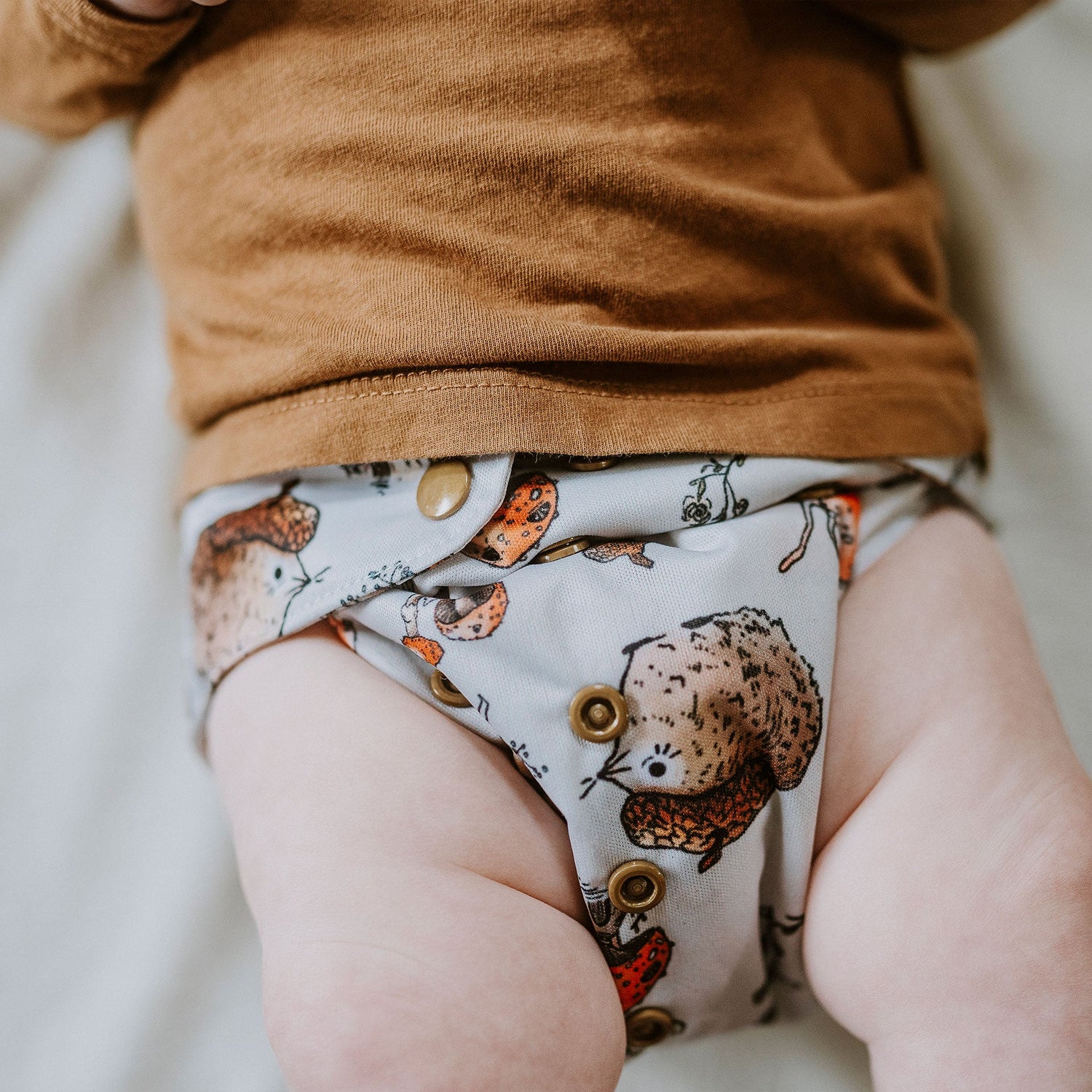 Animals and Insects: Essentials Pocket Cloth Diaper with Athletic Wicking Jersey, Grows with your Baby - Kinder Cloth Diaper Co. - 26 - 03 - 02 - modern reusable cloth diapers and more for birth to potty training - Pittsburgh Based Small Business