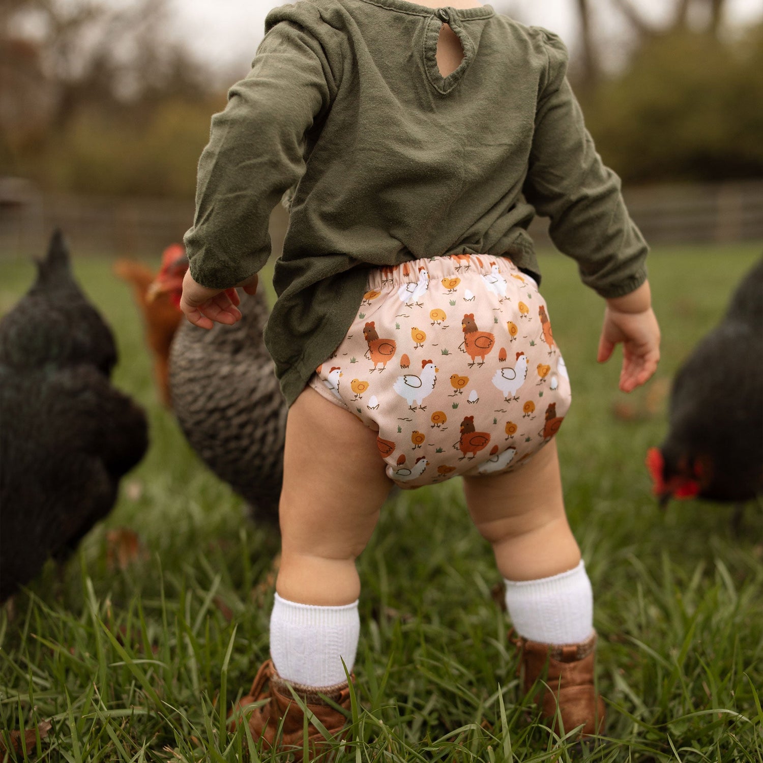 Animals and Insects: Essentials Pocket Cloth Diaper with Athletic Wicking Jersey, Grows with your Baby - Kinder Cloth Diaper Co. - 26 - 03 - 02 - modern reusable cloth diapers and more for birth to potty training - Pittsburgh Based Small Business