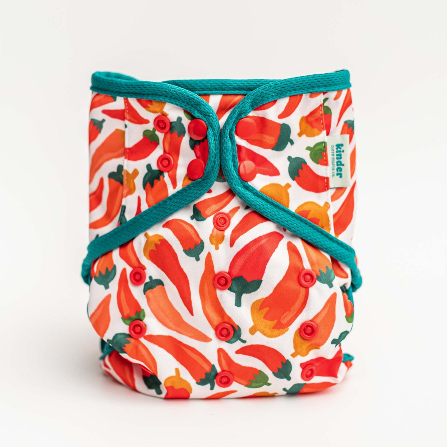 Animals and Insects: Wipeable Cloth Diaper Cover, Grows with your Baby