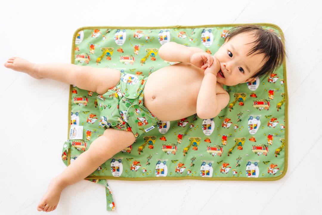 Busy Busy Farm - Modern - Cloth - Diapers - Pocket Diaper - Kinder Cloth Diaper Co. - Pittsburgh - Based - Small - Business - Woman - Owned