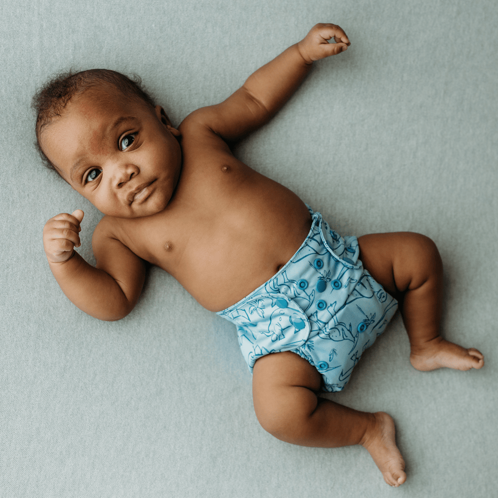 Doodle Zoo - Modern - Cloth - Diapers - Pocket Diaper - Kinder Cloth Diaper Co. - Pittsburgh - Based - Small - Business - Woman - Owned