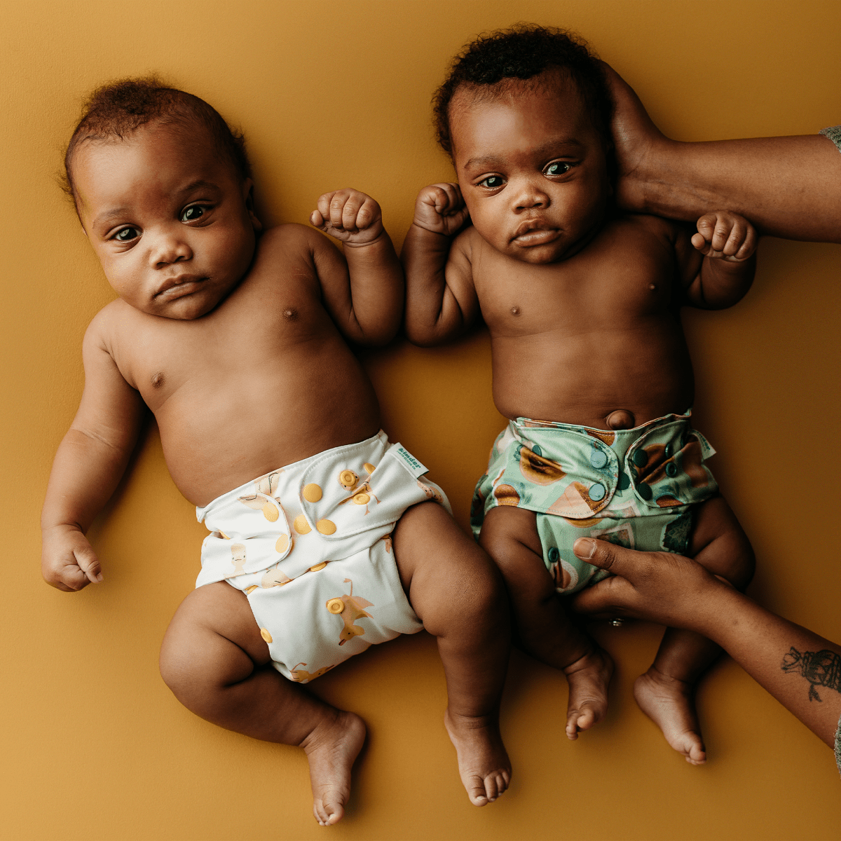 Doodle Zoo - Modern - Cloth - Diapers - Pocket Diaper - Kinder Cloth Diaper Co. - Pittsburgh - Based - Small - Business - Woman - Owned