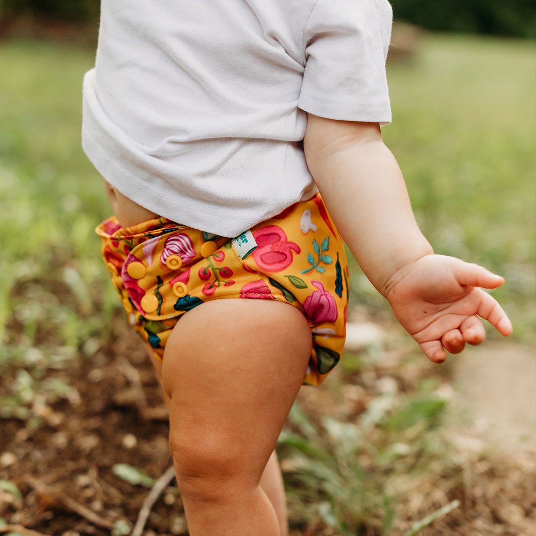 Food: Essentials Pocket Cloth Diaper with Athletic Wicking Jersey, Grows with your Baby - Kinder Cloth Diaper Co. - 28 - 03 - 05 - modern reusable cloth diapers and more for birth to potty training - Pittsburgh Based Small Business