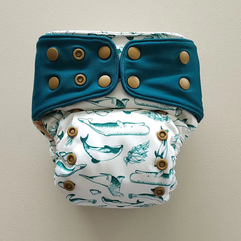 Kekoa: Premium Hybrid One Size Nappy 6 - 42 pounds - Kinder Cloth Diaper Co. - modern reusable cloth diapers and more for birth to potty training - Pittsburgh Based Small Business