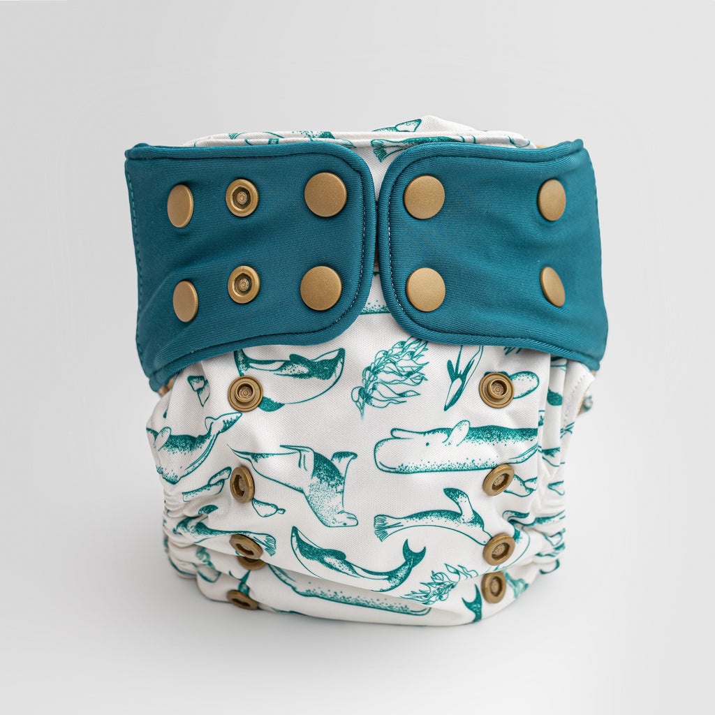 Renew Premium Hybrid One Size Cloth Diaper