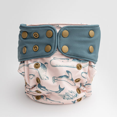 Kaikoura by Kekoa in Teal