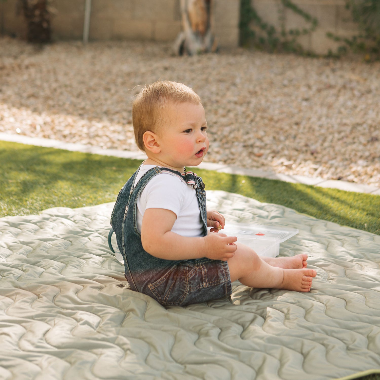 Anywhere Adventure Play Mat, Featuring Quilted Wipeable Machine Washable Fabric