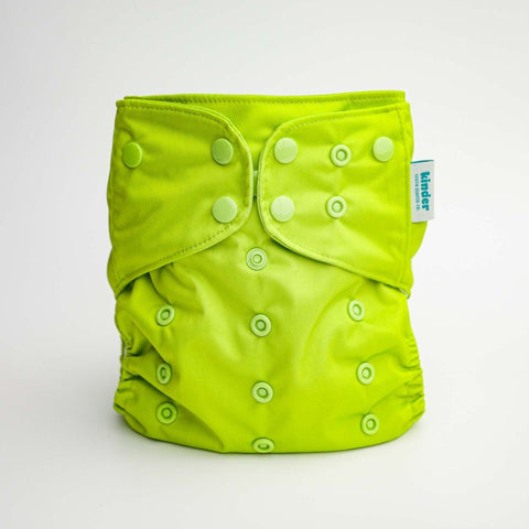 Rainforest Dart Frog Green