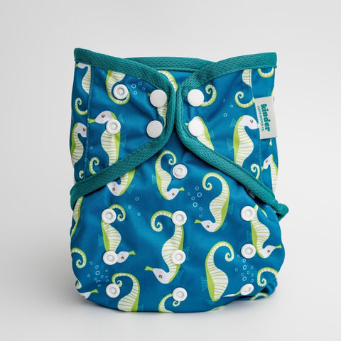 Seahorse Splendor