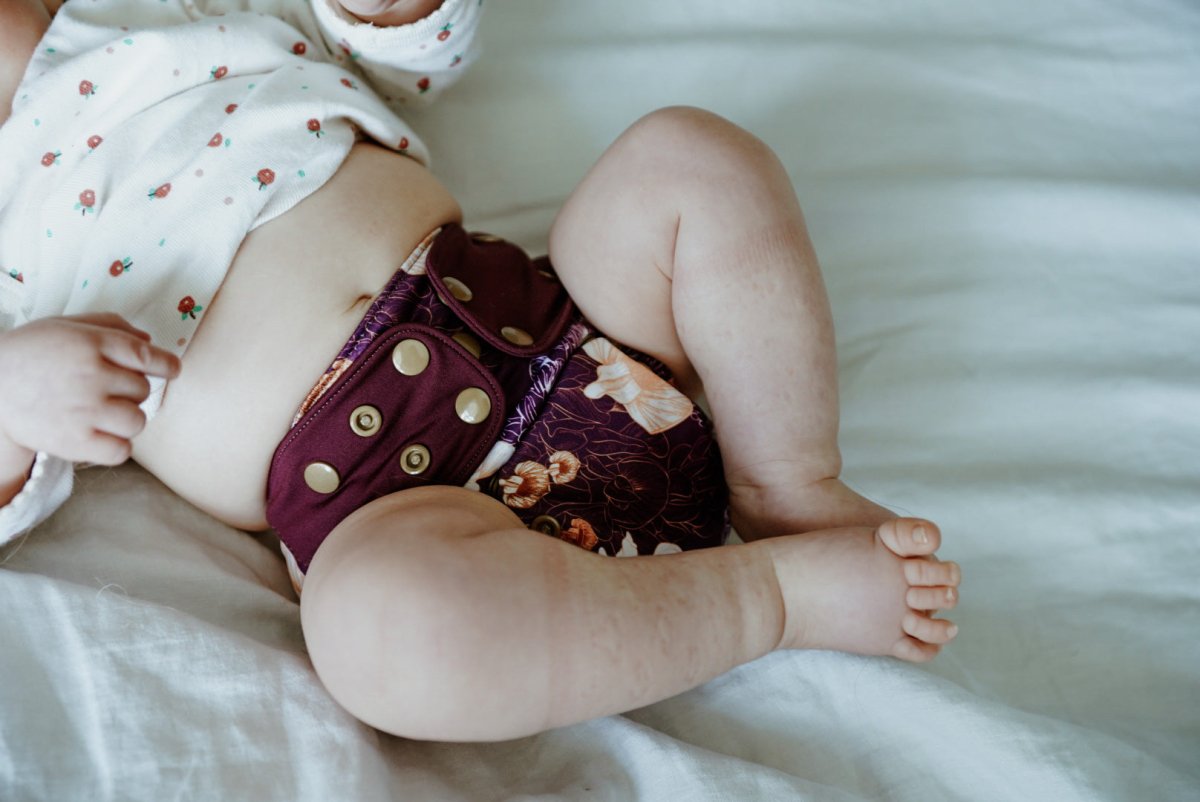 South Island Takahe - Modern - Cloth - Diapers - Cloth Diaper - Kinder Cloth Diaper Co. - Pittsburgh - Based - Small - Business - Woman - Owned
