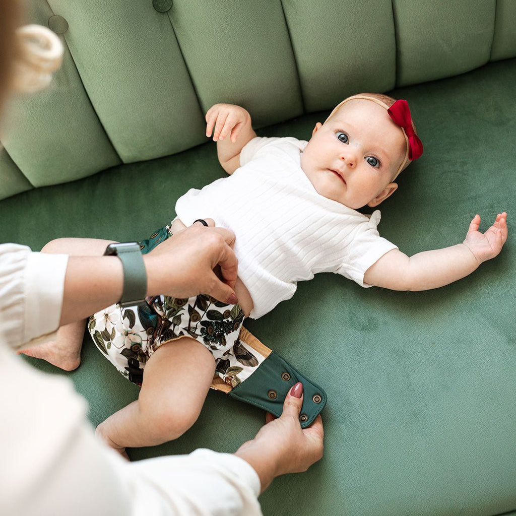 South Island Takahe - Modern - Cloth - Diapers - Cloth Diaper - Kinder Cloth Diaper Co. - Pittsburgh - Based - Small - Business - Woman - Owned